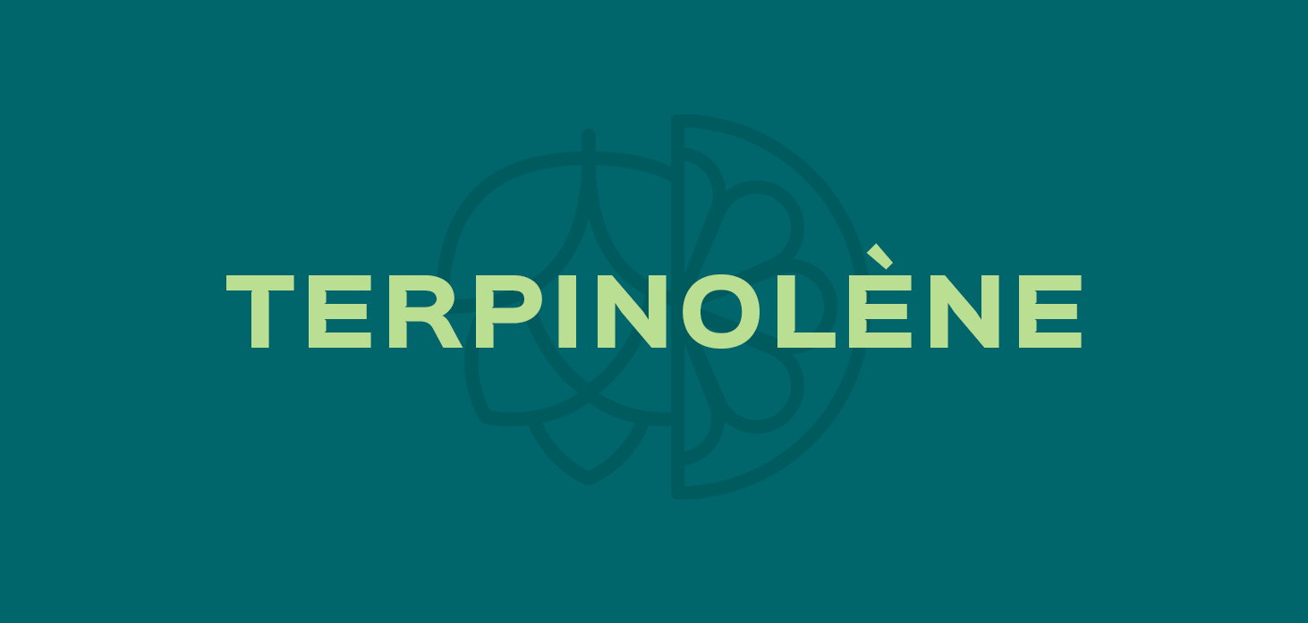 TERPINOLÈNE