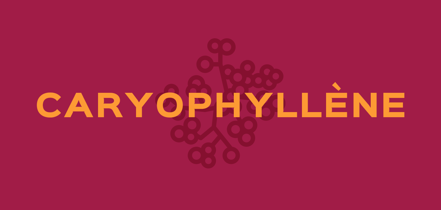 CARYOPHYLLÈNE