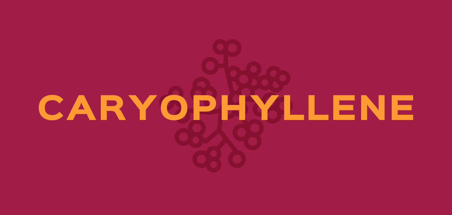 CARYOPHYLLENE