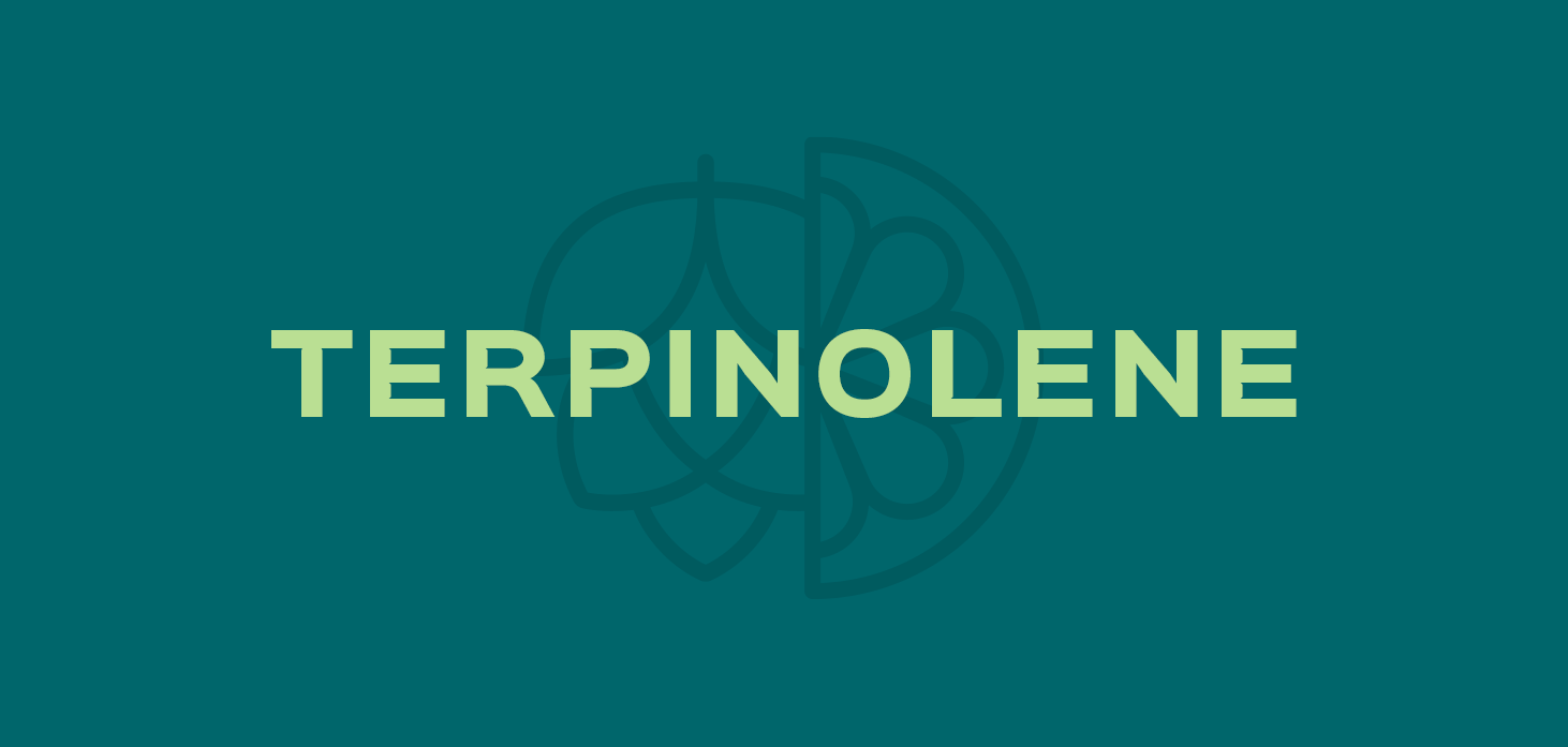 TERPINOLENE