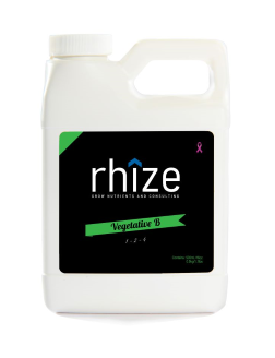 Rhize Végétative B
