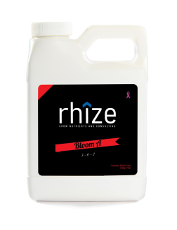 Rhize Floraison A
