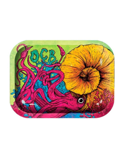 Metal Tray Cephalopod