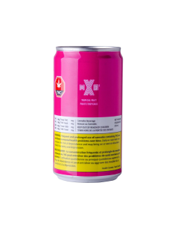 XMG Fruits Tropicaux
