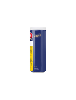 Mollo 10