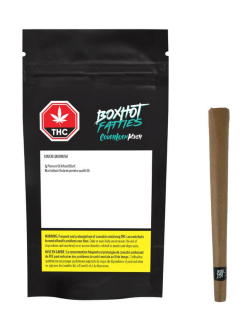 BOXHOT Blunt infusé Fatties Kush Verrouillé au Sofa CBN 1,0