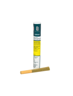 Ritual Sticks French Cookies Bubble Hash Infused Pre Roll