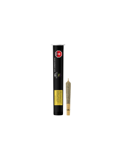 70-Weed Me Max Black Raspberry Slush 0.5g Infused Pre Roll