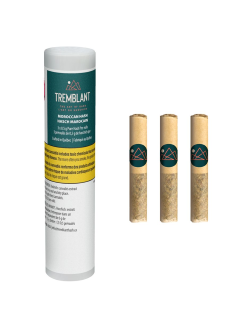 Tremblant Pure Moroccan Hash Pre Roll
