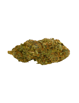Namaste MK Ultra