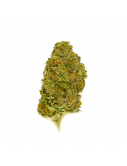 Namaste Shishkaberry
