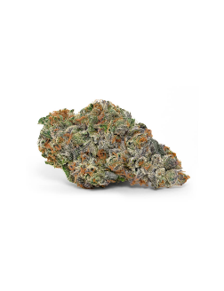 Broken Coast Keats