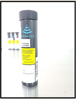 PINNACLE DISCOVERY 5g