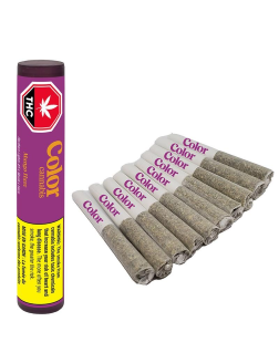 Color Cannabis Mango Haze 10pc Pre Roll