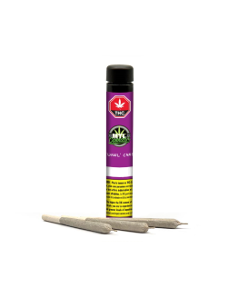 MTL Cannabis Jungl' Cake Pre Roll
