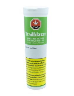 Trailblazer Hustle N Haze THCV 10pc Pre Roll