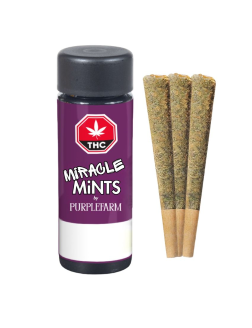PURPLEFARM Miracle Mints Pre Roll