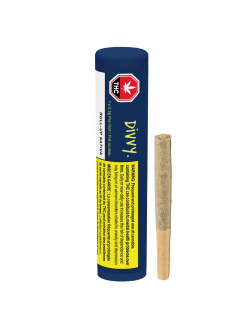 Divvy Roll Up Sativa 0.5g Pre Roll
