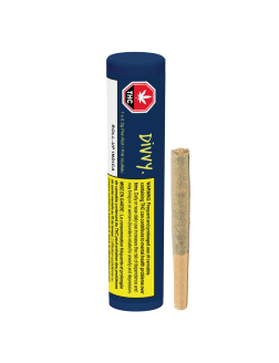 Divvy Roll Up Indica 0.5g Pre Roll
