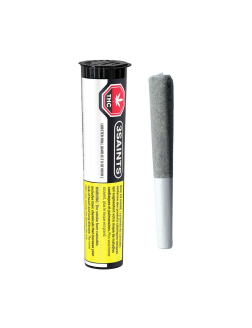 3Saints Lobster Roll 0.5g Pre Roll