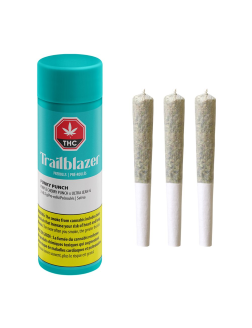 Trailblazer Funky Punch Pre Roll