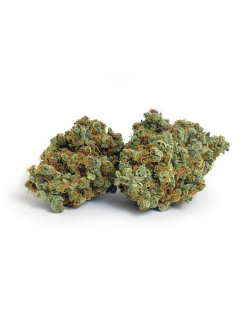 Broken Coast Northern Lights Haze