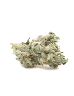 Re-Up D-Bubba