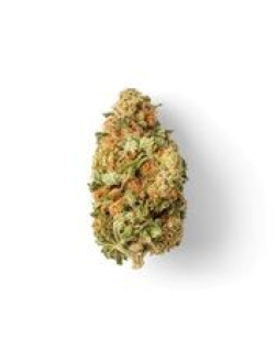 Sundial Strawberry Twist