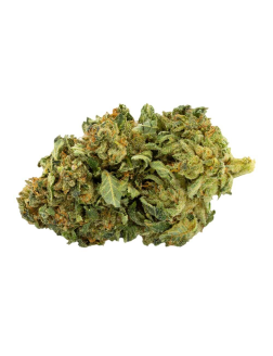 Canaca Galaxy Walker OG