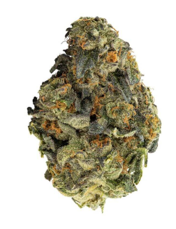 Big Bag O'Buds I.C.C