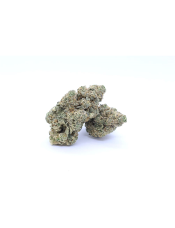 BestBuds LA Kush Cake