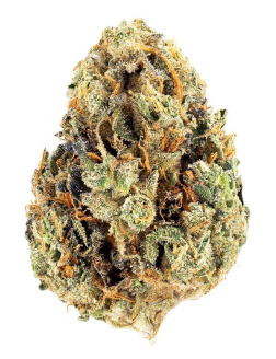 Current Growers Pick Indica Layer Cake