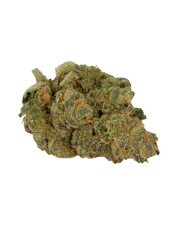 DOJA GMO Garlic Breath