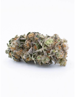 EastCann Black Dolato