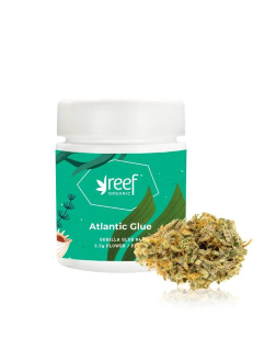 Reef Organic Atlantic Glue