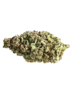 Pure Sunfarms Sugar Cookies