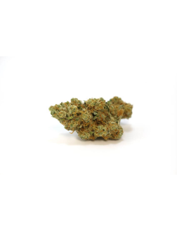 Highland Grow Chemnesia