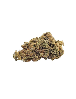 Back Forty Mandarin Cookies