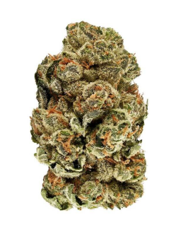 3Saints Kush Cookies