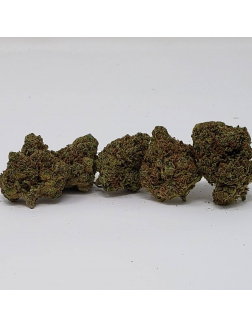 Eve & Co Nitelite Indica