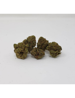 Eve & Co Daylite Sativa