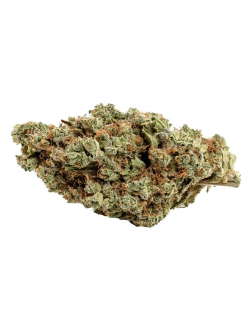 Catch Me Outside Couch Potato Indica