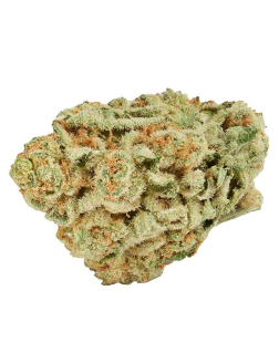 Good Supply Sweet Berry Kush