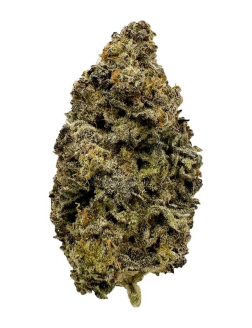 Crooked Dory Indica 28g