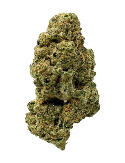 Crooked Dory Sativa