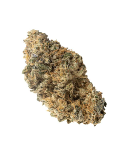 OGEN Peach Chauffeur #15