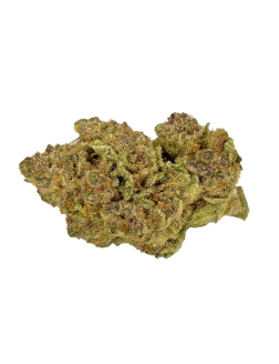 ECO Growers Choice Organic Kiwi Banana Cabana 28g