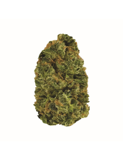Stoned Grease Monkey