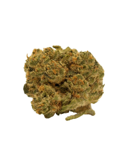 Tweed Tiny's Clementine Cookies