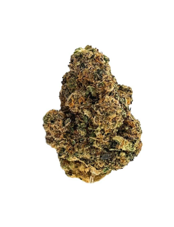 MTL Cannabis Wes' Coast Kush